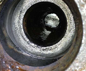 ���g�S��